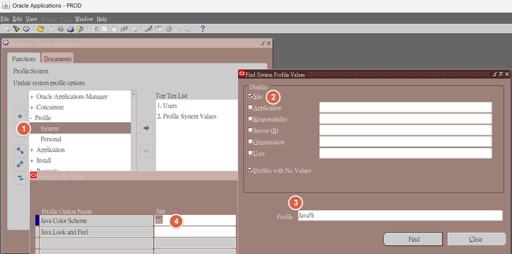 ORACLE EBS Profile-修改 FORM 顏色 1 image 2